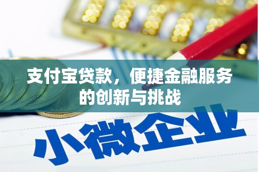 盐源支付宝贷款，便捷金融服务的创新与挑战