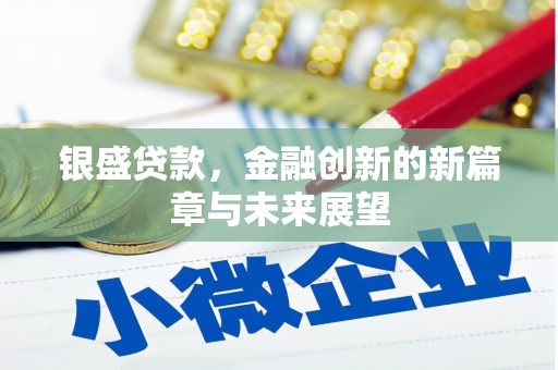 盐源银盛贷款，金融创新的新篇章与未来展望