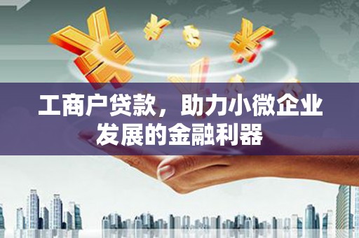 盐源工商户贷款，助力小微企业发展的金融利器