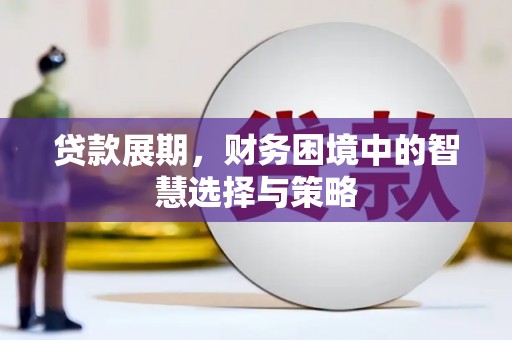 盐源贷款展期，财务困境中的智慧选择与策略