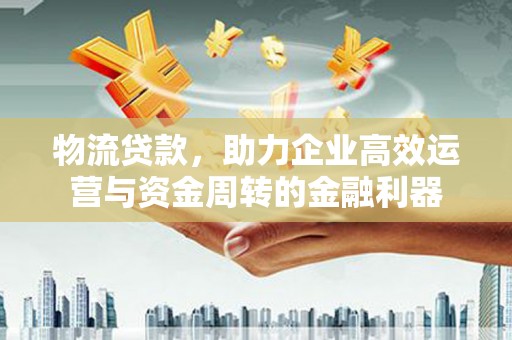 盐源物流贷款，助力企业高效运营与资金周转的金融利器