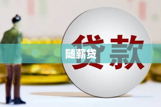 盐源随薪贷
