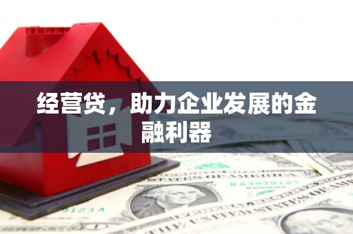 盐源经营贷，助力企业发展的金融利器