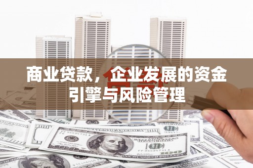 盐源商业贷款，企业发展的资金引擎与风险管理