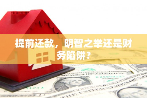 盐源提前还款，明智之举还是财务陷阱？