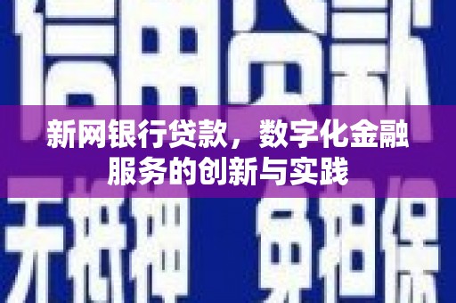 盐源新网银行贷款，数字化金融服务的创新与实践