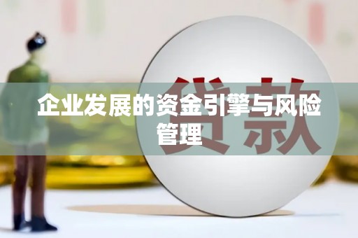 盐源企业发展的资金引擎与风险管理