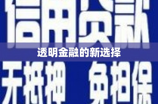 盐源透明金融的新选择
