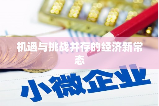 盐源机遇与挑战并存的经济新常态