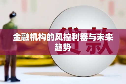 盐源金融机构的风控利器与未来趋势
