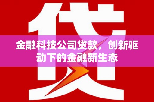 盐源金融科技公司贷款，创新驱动下的金融新生态