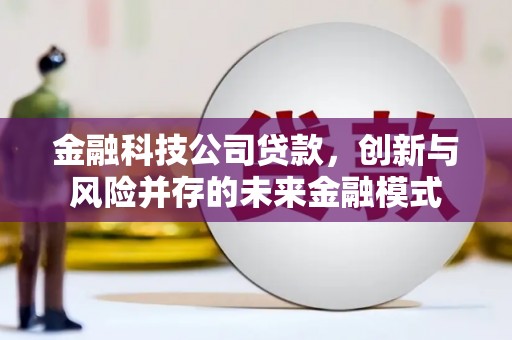 盐源金融科技公司贷款，创新与风险并存的未来金融模式