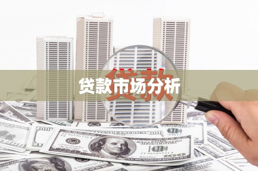 盐源贷款市场分析