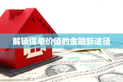 盐源解锁保单价值的金融新途径
