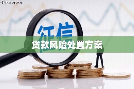 盐源贷款风险处置方案