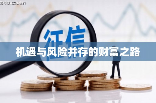 盐源机遇与风险并存的财富之路