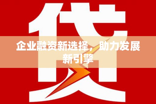 盐源企业融资新选择，助力发展新引擎