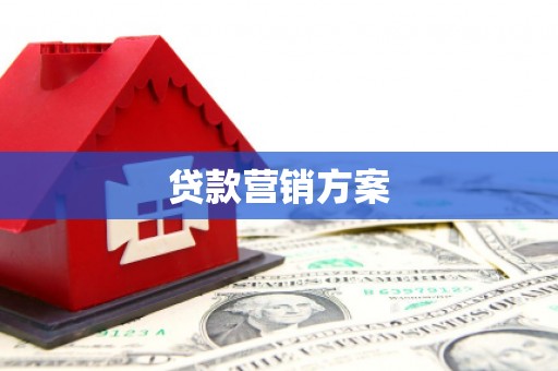 盐源贷款营销方案