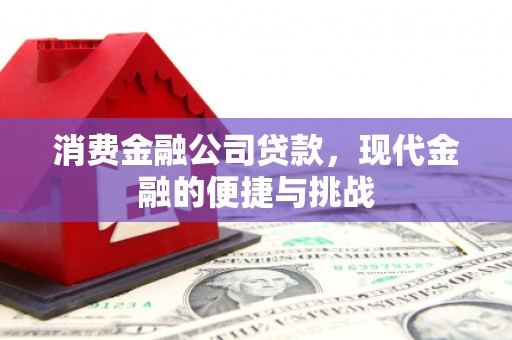 盐源消费金融公司贷款，现代金融的便捷与挑战