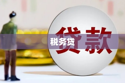 盐源税务贷