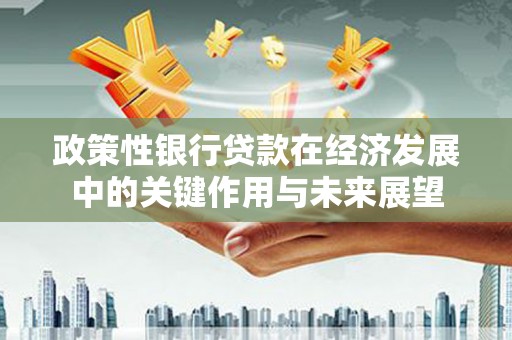 盐源政策性银行贷款在经济发展中的关键作用与未来展望