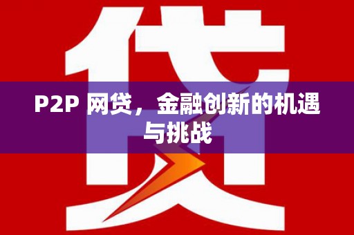 盐源P2P 网贷，金融创新的机遇与挑战