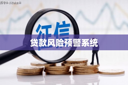 盐源贷款风险预警系统