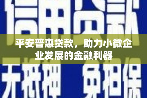 盐源平安普惠贷款，助力小微企业发展的金融利器
