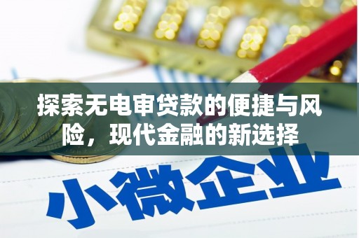 盐源探索无电审贷款的便捷与风险，现代金融的新选择