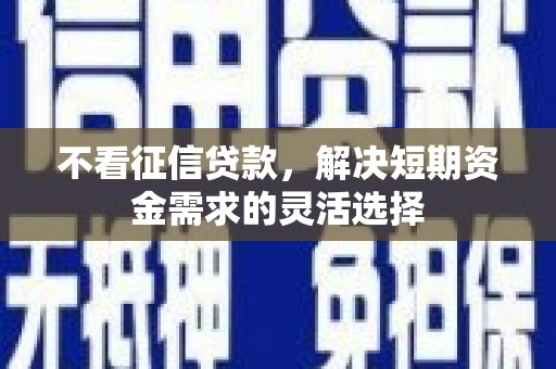 盐源不看征信贷款，解决短期资金需求的灵活选择