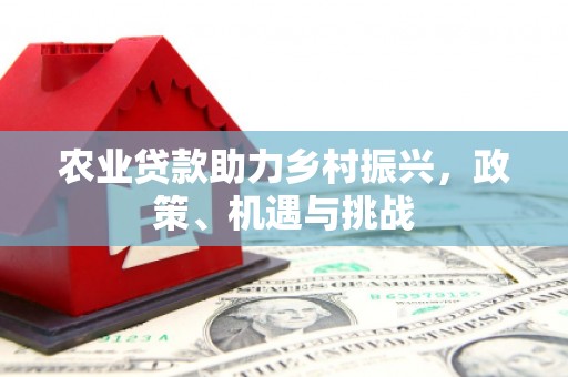 盐源农业贷款助力乡村振兴，政策、机遇与挑战