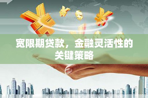 盐源宽限期贷款，金融灵活性的关键策略