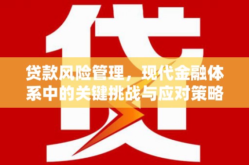 盐源贷款风险管理，现代金融体系中的关键挑战与应对策略