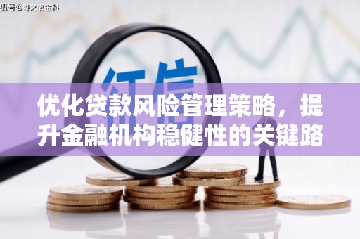 盐源优化贷款风险管理策略，提升金融机构稳健性的关键路径