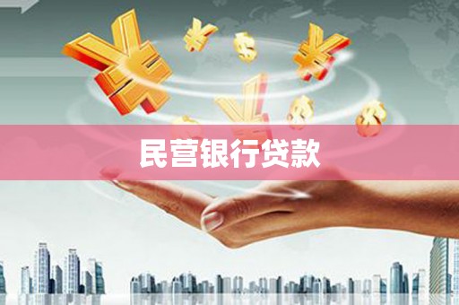 盐源民营银行贷款