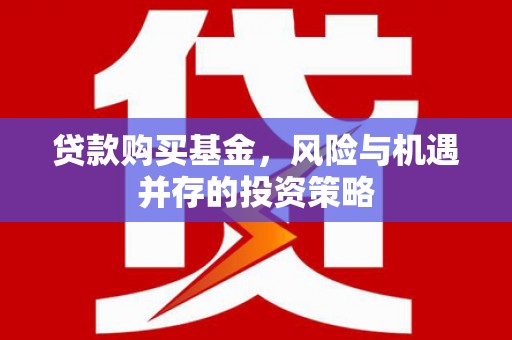 盐源贷款购买基金，风险与机遇并存的投资策略