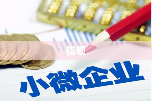 盐源借呗