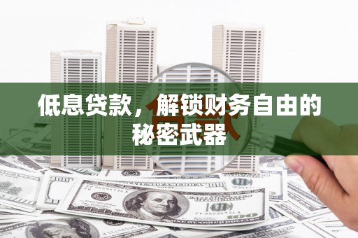 盐源低息贷款，解锁财务自由的秘密武器