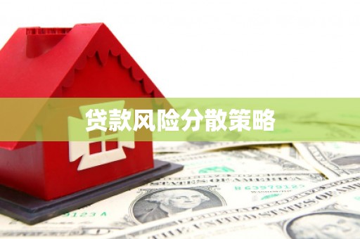 盐源贷款风险分散策略