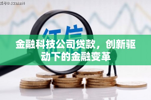 盐源金融科技公司贷款，创新驱动下的金融变革