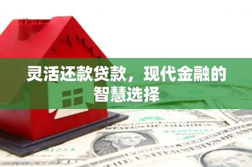 盐源灵活还款贷款，现代金融的智慧选择