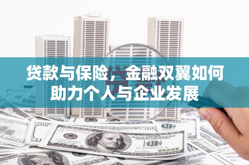 盐源贷款与保险，金融双翼如何助力个人与企业发展
