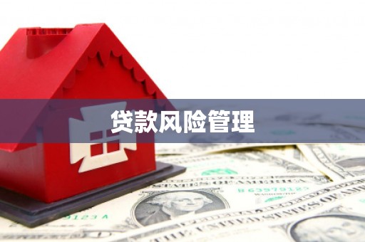 盐源贷款风险管理