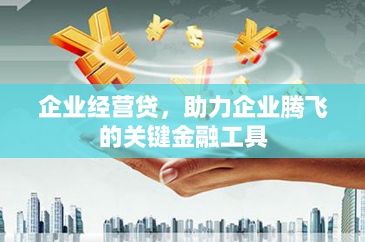 盐源企业经营贷，助力企业腾飞的关键金融工具