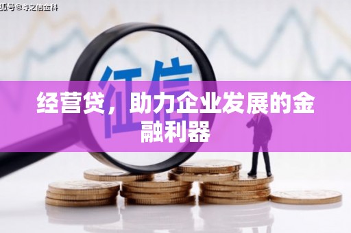 盐源经营贷，助力企业发展的金融利器