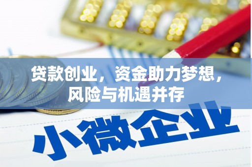 盐源贷款创业，资金助力梦想，风险与机遇并存