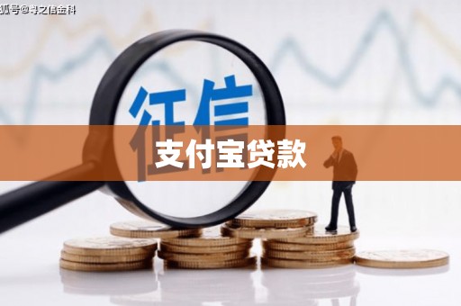 盐源支付宝贷款