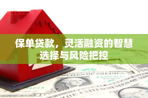 盐源保单贷款，灵活融资的智慧选择与风险把控
