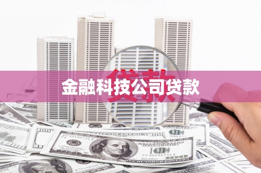 盐源金融科技公司贷款