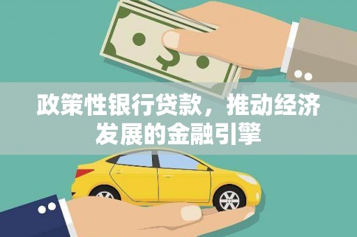 盐源政策性银行贷款，推动经济发展的金融引擎